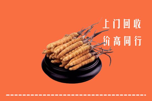 高价求购：南充营山县回收散虫草