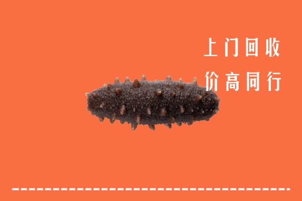 高价求购：南充营山县回收海参